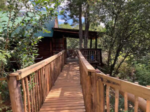Eco Love Shack