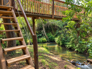 Eco Love Shack