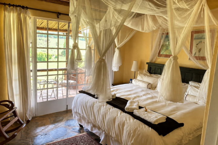 Fish Eagle Suite