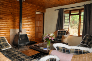 Log Cabin Lounge 1